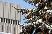 Evergreen trees covered in snow, with the Carl B. Stokes Public Utilities building in the background.